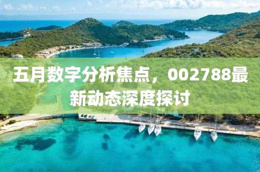 五月數(shù)字分析焦點(diǎn)，002788最新動(dòng)態(tài)深度探討