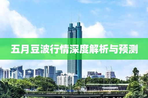 五月豆波行情深度解析與預(yù)測