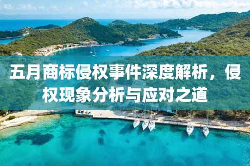 五月商標侵權事件深度解析，侵權現(xiàn)象分析與應對之道