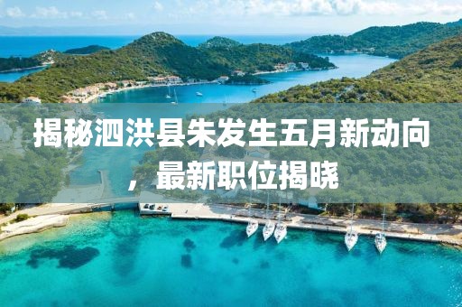 揭秘泗洪縣朱發(fā)生五月新動(dòng)向，最新職位揭曉