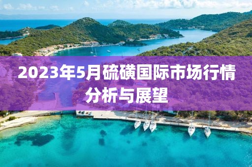 2023年5月硫磺國際市場行情分析與展望