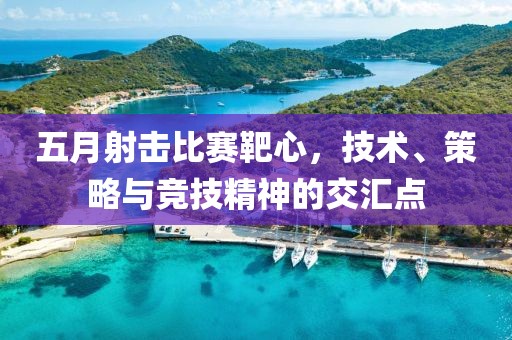 五月射擊比賽靶心，技術(shù)、策略與競(jìng)技精神的交匯點(diǎn)