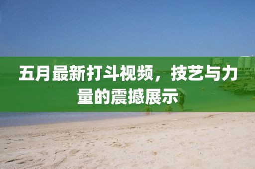 五月最新打斗視頻，技藝與力量的震撼展示