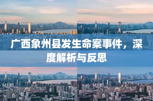 廣西象州縣發(fā)生命案事件，深度解析與反思
