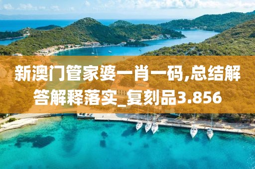 新澳門(mén)管家婆一肖一碼,總結(jié)解答解釋落實(shí)_復(fù)刻品3.856