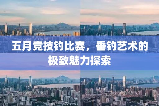 五月競(jìng)技釣比賽，垂釣藝術(shù)的極致魅力探索