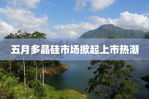 五月多晶硅市場掀起上市熱潮