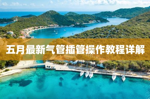 五月最新氣管插管操作教程詳解