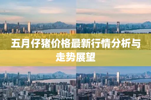 五月仔豬價格最新行情分析與走勢展望