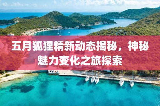 五月狐貍精新動(dòng)態(tài)揭秘，神秘魅力變化之旅探索
