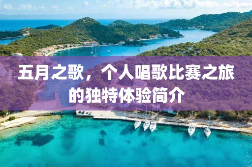 五月之歌，個(gè)人唱歌比賽之旅的獨(dú)特體驗(yàn)簡(jiǎn)介