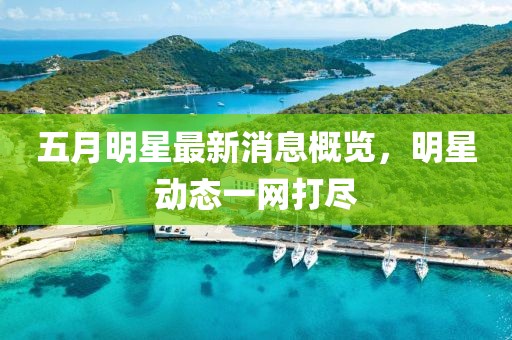 五月明星最新消息概覽，明星動態(tài)一網(wǎng)打盡
