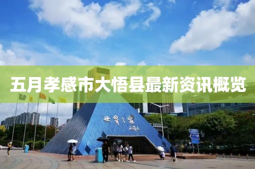 五月孝感市大悟縣最新資訊概覽