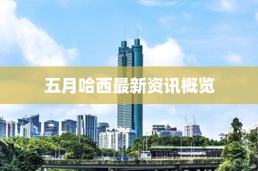 五月哈西最新資訊概覽