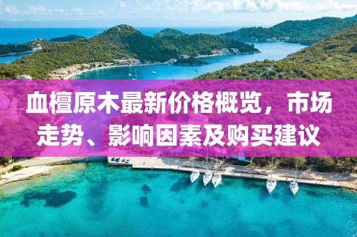 五月新冠病毒最新動態(tài)，全球傳播態(tài)勢分析與應(yīng)對策略探討