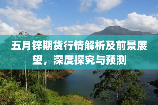五月鋅期貨行情解析及前景展望，深度探究與預(yù)測