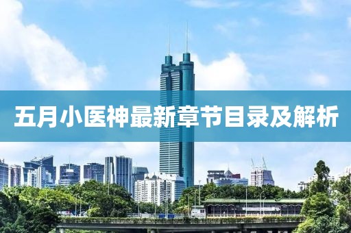 五月小醫(yī)神最新章節(jié)目錄及解析