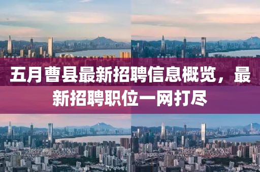 五月曹縣最新招聘信息概覽，最新招聘職位一網(wǎng)打盡