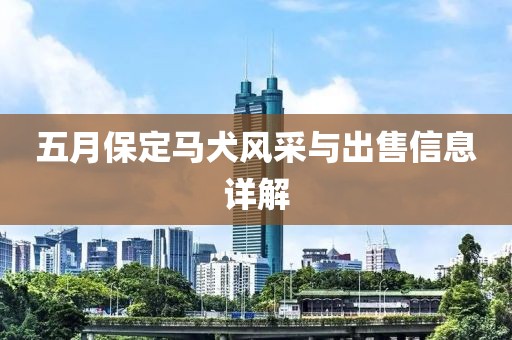 五月保定馬犬風(fēng)采與出售信息詳解
