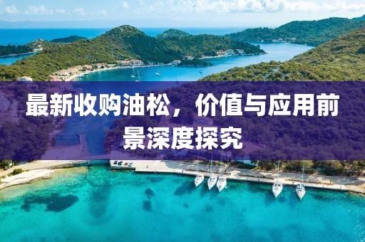 五月兄弟營電視劇演員陣容全覽