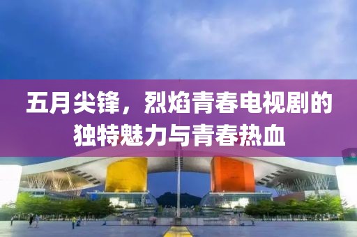 五月尖鋒，烈焰青春電視劇的獨(dú)特魅力與青春熱血