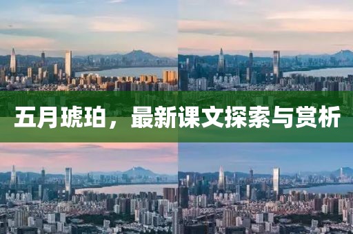 五月琥珀，最新課文探索與賞析