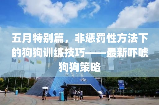 五月特別篇，非懲罰性方法下的狗狗訓(xùn)練技巧——最新嚇唬狗狗策略