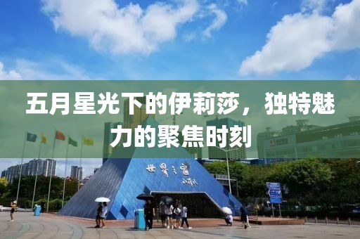 五月星光下的伊莉莎，獨特魅力的聚焦時刻