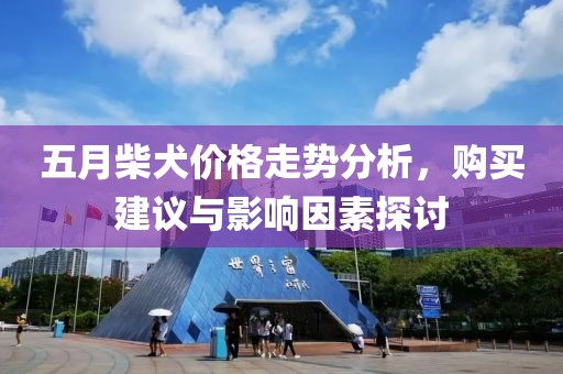 科目三 第9頁(yè)