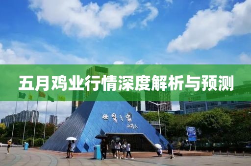 五月雞業(yè)行情深度解析與預(yù)測