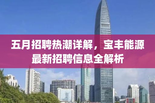 五月招聘熱潮詳解，寶豐能源最新招聘信息全解析