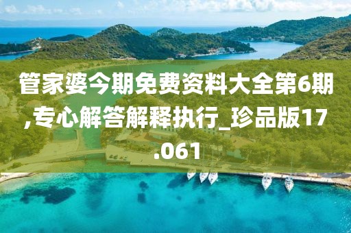 管家婆今期免費(fèi)資料大全第6期,專心解答解釋執(zhí)行_珍品版17.061