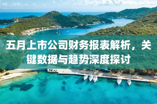 五月上市公司財(cái)務(wù)報(bào)表解析，關(guān)鍵數(shù)據(jù)與趨勢(shì)深度探討