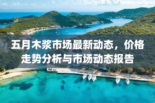 五月木漿市場最新動態(tài)，價格走勢分析與市場動態(tài)報告