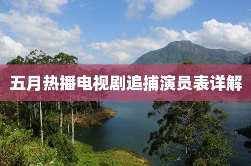 五月熱播電視劇追捕演員表詳解