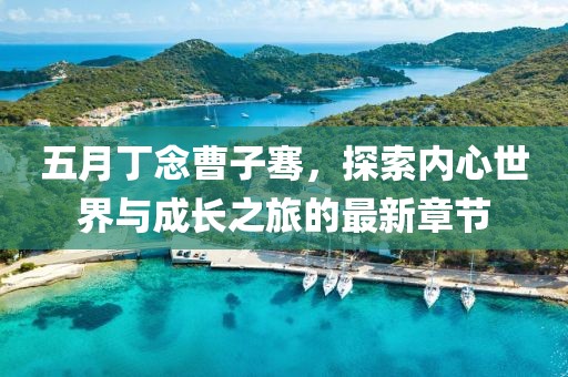 五月丁念曹子騫，探索內(nèi)心世界與成長之旅的最新章節(jié)
