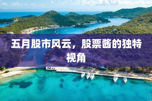 五月股市風(fēng)云，股票醬的獨(dú)特視角