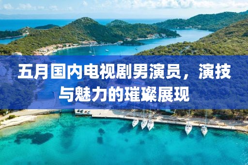 五月國內(nèi)電視劇男演員，演技與魅力的璀璨展現(xiàn)