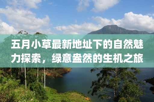 五月小草最新地址下的自然魅力探索，綠意盎然的生機(jī)之旅