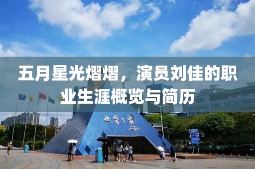 五月星光熠熠，演員劉佳的職業(yè)生涯概覽與簡(jiǎn)歷