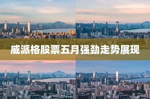 威派格股票五月強(qiáng)勁走勢(shì)展現(xiàn)