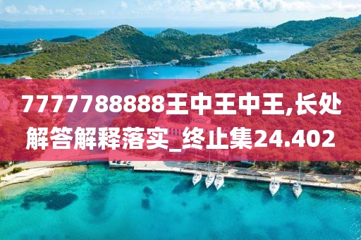 7777788888王中王中王,長(zhǎng)處解答解釋落實(shí)_終止集24.402