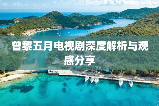 曾黎五月電視劇深度解析與觀感分享