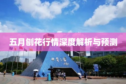 五月刨花行情深度解析與預(yù)測