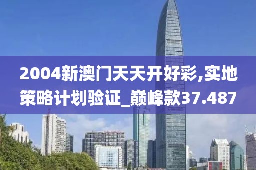 2004新澳門天天開好彩,實(shí)地策略計(jì)劃驗(yàn)證_巔峰款37.487