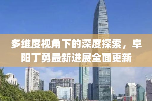 多維度視角下的深度探索，阜陽丁勇最新進展全面更新