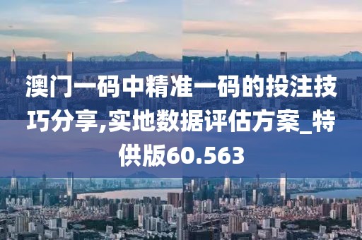 澳門一碼中精準(zhǔn)一碼的投注技巧分享,實(shí)地?cái)?shù)據(jù)評(píng)估方案_特供版60.563
