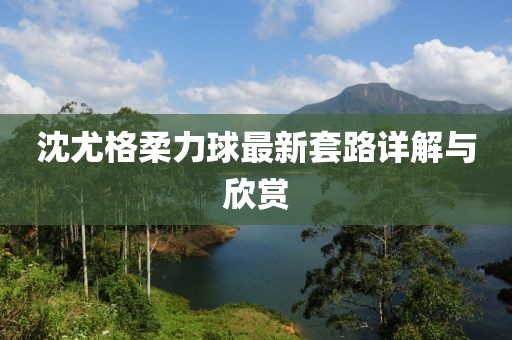 沈尤格柔力球最新套路詳解與欣賞