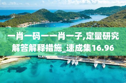 一肖一碼一一肖一子,定量研究解答解釋措施_速成集16.96