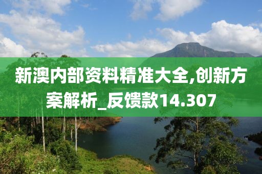 新澳內(nèi)部資料精準(zhǔn)大全,創(chuàng)新方案解析_反饋款14.307